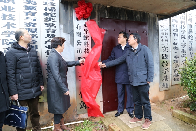 零陵首屆“人才工作日” 人才齊聚暢談發展